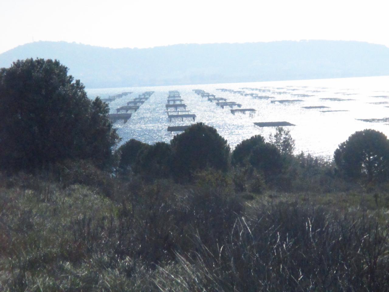 Bouzigues